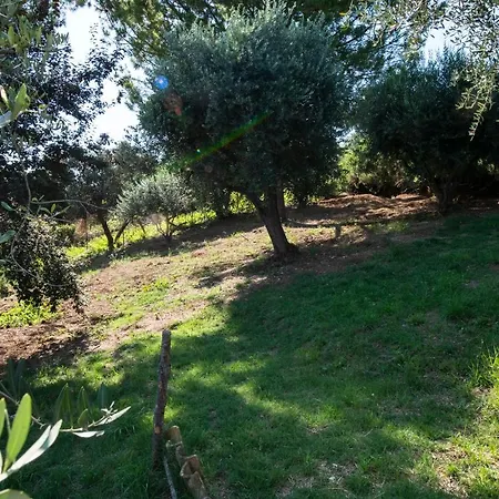 Borgo Lucidi Relax Appartamento